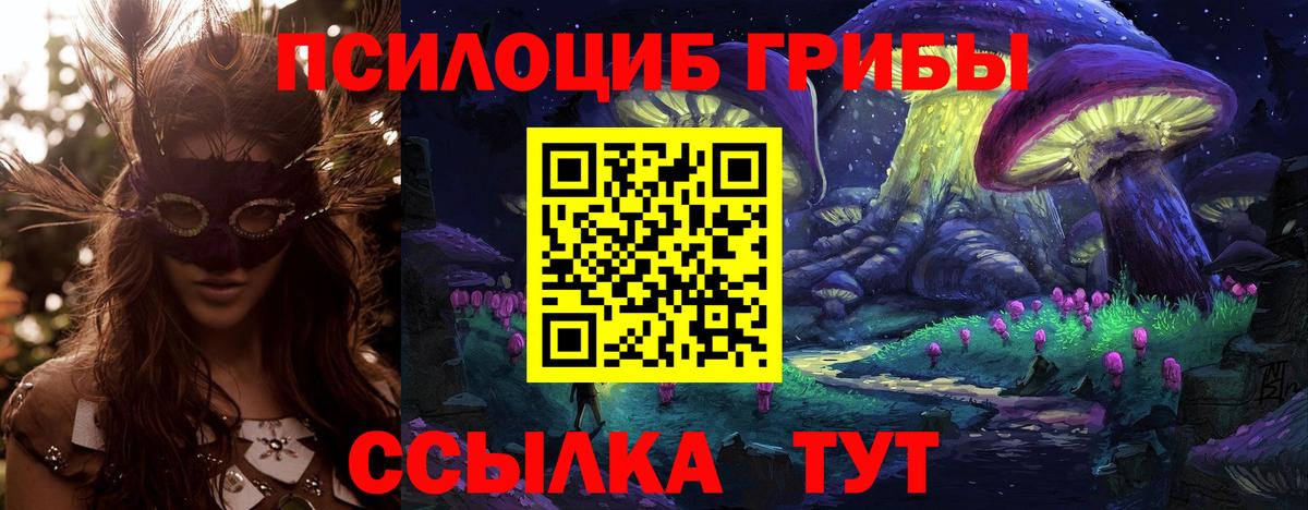 Шарыпово  Псилоцибиновые грибы Psilocybine cubensis  Вход с VPN  Галлюциногенные грибы MAGIC MUSHROOMS 